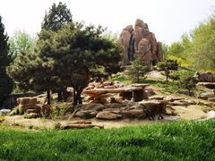 -北京野生动物园