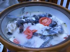 -全乐鱼馆·淳牌有机鱼直营店