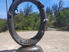-广东惠东海龟国家级自然保护区
