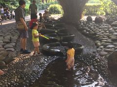 -成都市活水公园