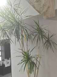 -宫铭烫发染发接发店