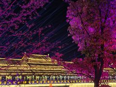 -恩阳古镇