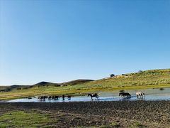 -塞罕坝国家级自然保护区