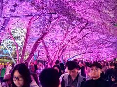 -西北湖绿化广场