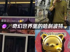 -Big Bus Tours 敞篷观光巴士