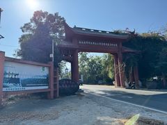 -海南霸王岭国家森林公园