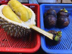 -101 Fresh Fruits Trading