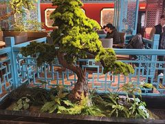 -全聚德烤鸭店(准噶尔路店)