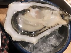 -HIHE Bistro·Oyster Bar(华熙live店)