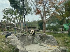 -武汉动物园