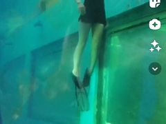 -洛阳龙门海洋馆