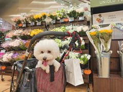 -优衣库(深圳万象天地旗舰店)