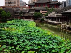 -龙潭水乡