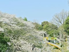 -杭州少年儿童公园