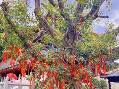 -南国桃园旅游度假区