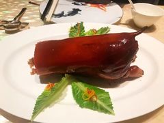 -8餐厅(新葡京酒店)