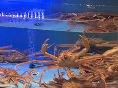 -阿伟海鲜楼·福建菜(延寿店)