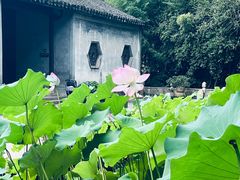 -兰亭风景区