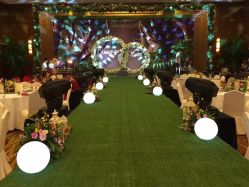 -M'S BANQUET AND SPACE ART