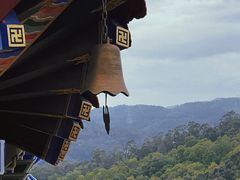 -东莞市大岭山森林公园