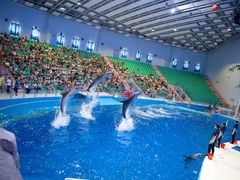 -福州罗源湾海洋世界旅游区