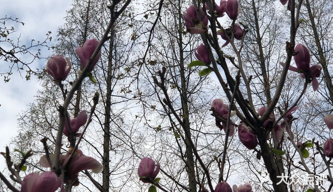 同济🌸