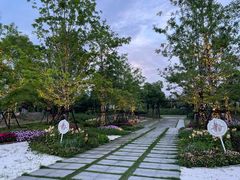 -春花秋色城市公园