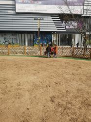 -萌宠亲子动物乐园(槐房万达店)