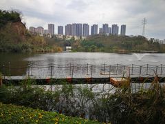 -重庆彩云湖湿地公园