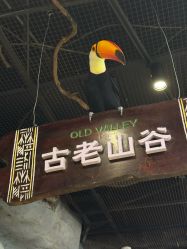 -Zoolung Zoolung动物主题公园(海信广场店)