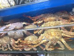 -蚝专家(北滘店)