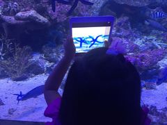 -悉尼海洋生物水族馆