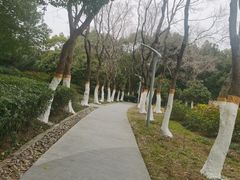 -天鹅湖体育公园