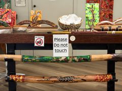 -热带雨林自然公园