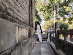 -洛阳周公庙博物馆