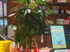 -四点金粥底火锅(沂州里店)