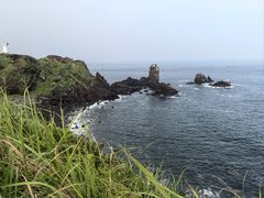 -涉地可支