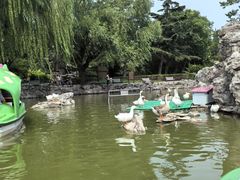 -团结湖公园