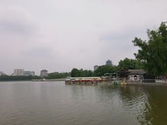 -莲花池公园