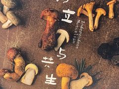 -半山腰·云南菜(侨福芳草地店)