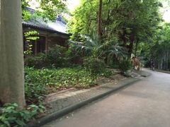 -中山大学学者灵芝(园南路店)