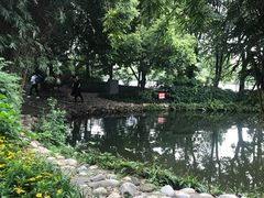 -成都市活水公园