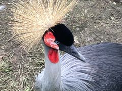 -哈尔滨北方森林动物园