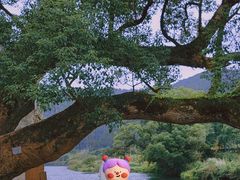 -上坦村