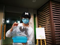 -雨林宠物医院 非犬猫异宠专科
