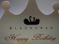 -BLACKSWAN黑天鹅(环球店)