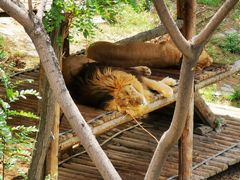 -石家庄市动物园