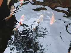 -侠成水上农庄(工业大道店)