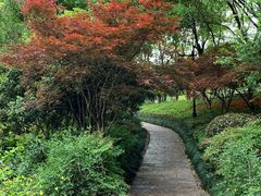 -杭州半山国家森林公园