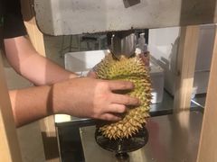 -都念榴莲·城市榴莲